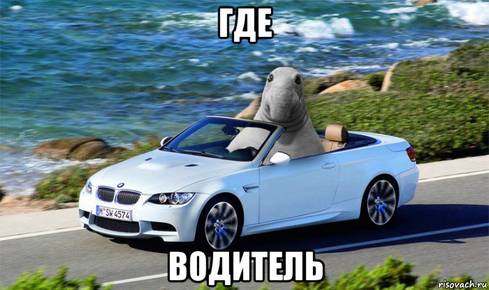 где водитель