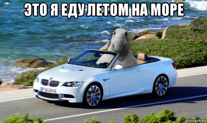 это я еду летом на море 