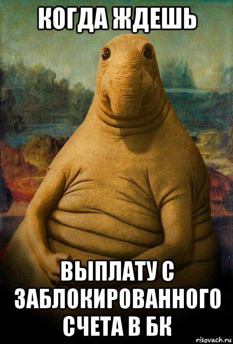 когда ждешь выплату с заблокированного счета в бк