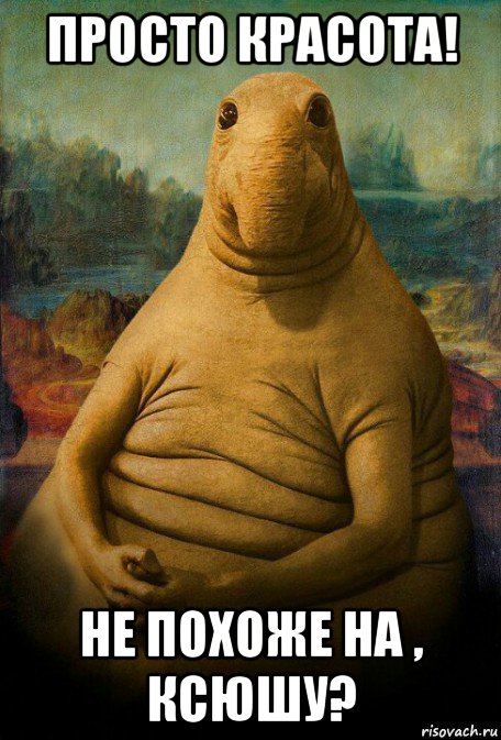 просто красота! не похоже на , ксюшу?