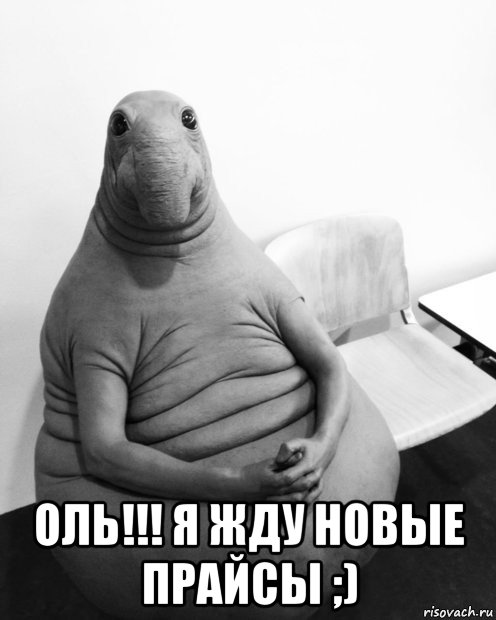  оль!!! я жду новые прайсы ;), Мем  Ждун