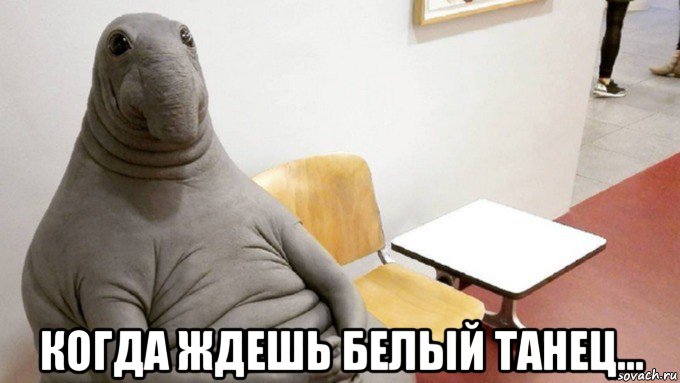  когда ждешь белый танец...