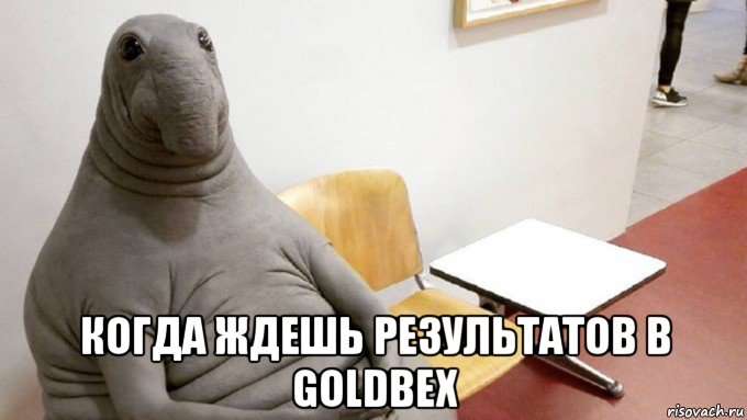  когда ждешь результатов в goldbex