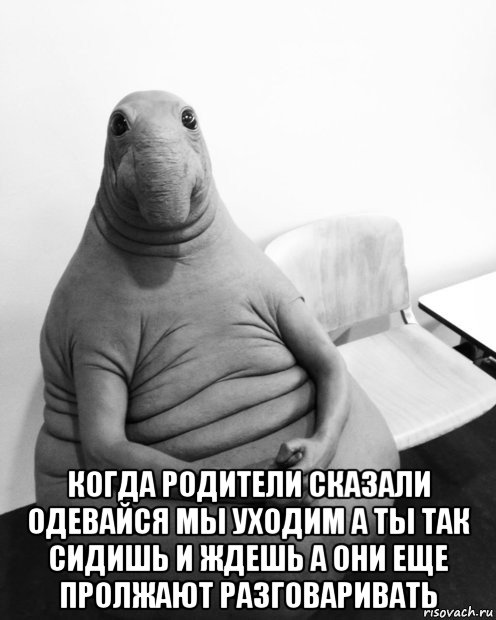  когда родители сказали одевайся мы уходим а ты так сидишь и ждешь а они еще пролжают разговаривать, Мем  Ждун