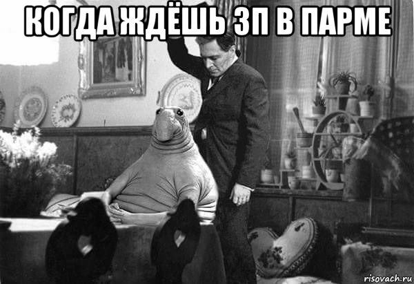 когда ждёшь зп в парме 