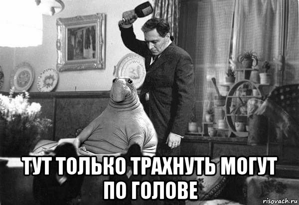  тут только трахнуть могут по голове