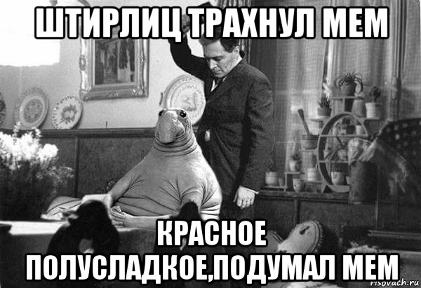 штирлиц трахнул мем красное полусладкое,подумал мем
