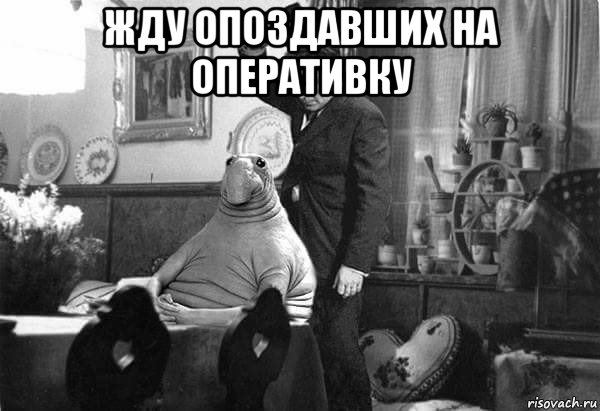 жду опоздавших на оперативку 