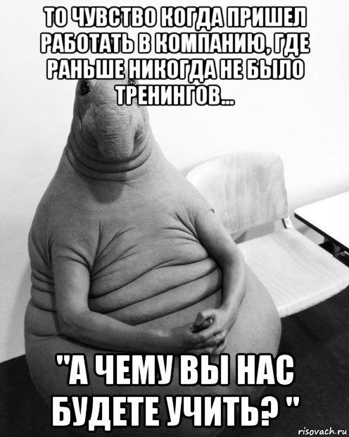 то чувство когда пришел работать в компанию, где раньше никогда не было тренингов... "а чему вы нас будете учить? ", Мем  Ждун