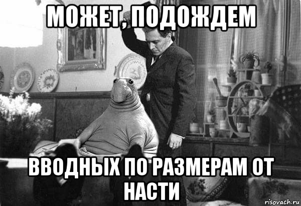 может, подождем вводных по размерам от насти