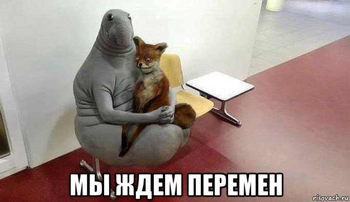  мы ждем перемен
