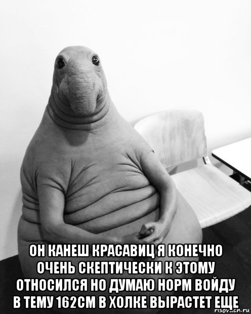  он канеш красавиц я конечно очень скептически к этому относился но думаю норм войду в тему 162см в холке вырастет еще, Мем  Ждун