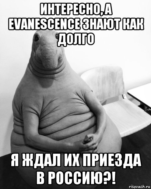 интересно, а evanescence знают как долго я ждал их приезда в россию?!, Мем  Ждун