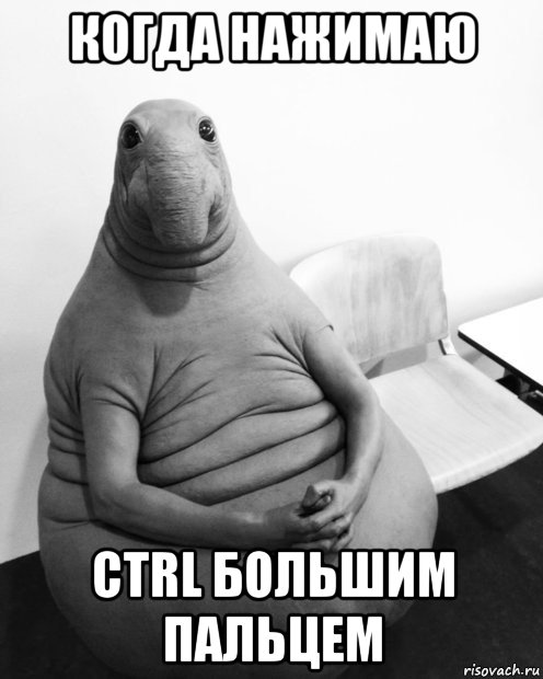 когда нажимаю ctrl большим пальцем, Мем  Ждун