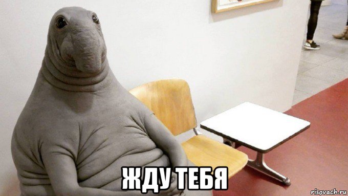  жду тебя