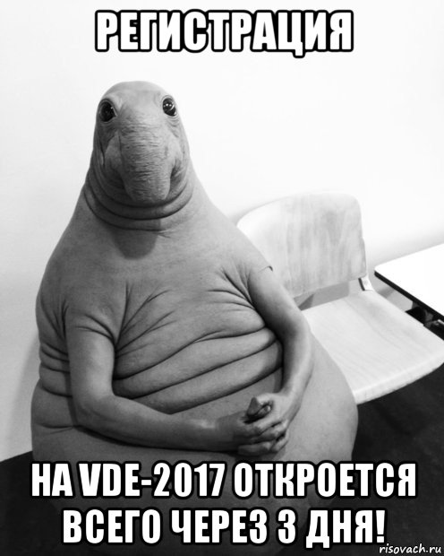 регистрация на vde-2017 откроется всего через 3 дня!, Мем  Ждун