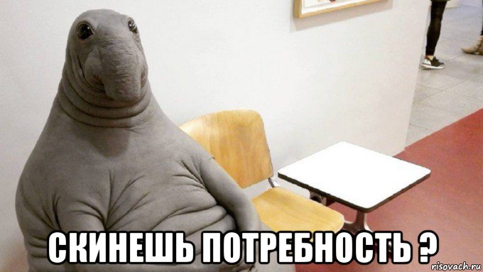  скинешь потребность ?