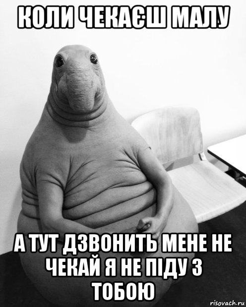 коли чекаєш малу а тут дзвонить мене не чекай я не піду з тобою, Мем  Ждун