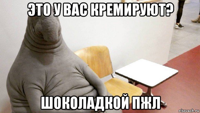это у вас кремируют? шоколадкой пжл