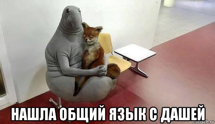  нашла общий язык с дашей