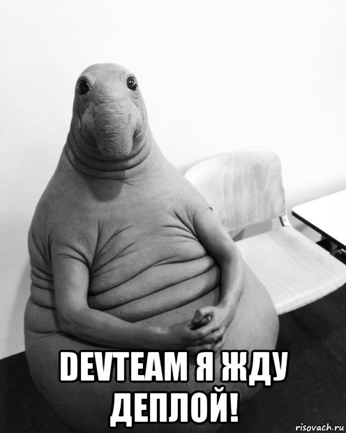  devteam я жду деплой!, Мем  Ждун