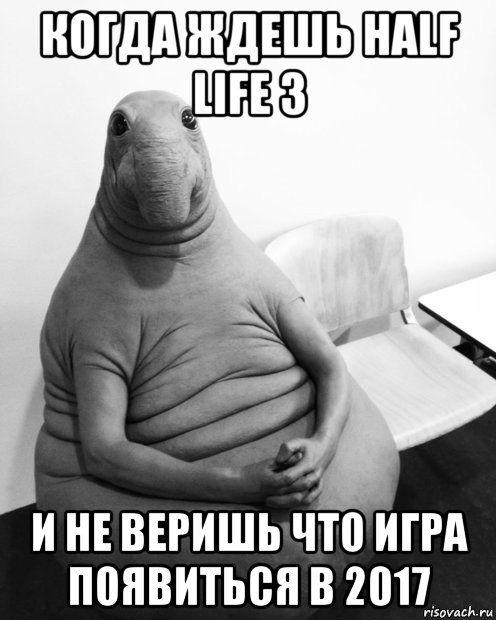 когда ждешь half life 3 и не веришь что игра появиться в 2017, Мем  Ждун