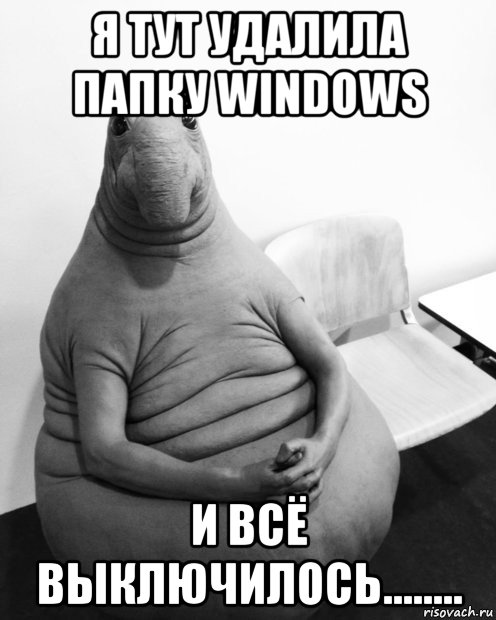 я тут удалила папку windows и всё выключилось........, Мем  Ждун