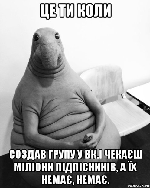 це ти коли создав групу у вк.і чекаєш міліони підпісників, а їх немає, немає., Мем  Ждун