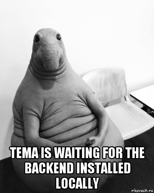  tema is waiting for the backend installed locally, Мем  Ждун