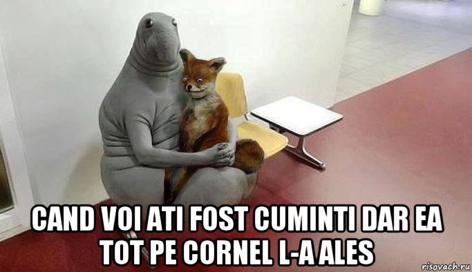  cand voi ati fost cuminti dar ea tot pe cornel l-a ales