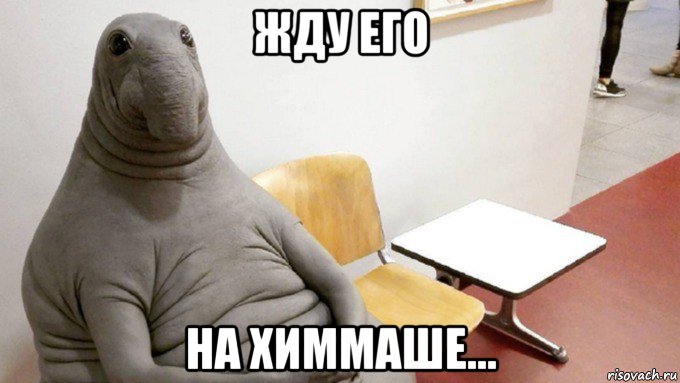 жду его на химмаше...