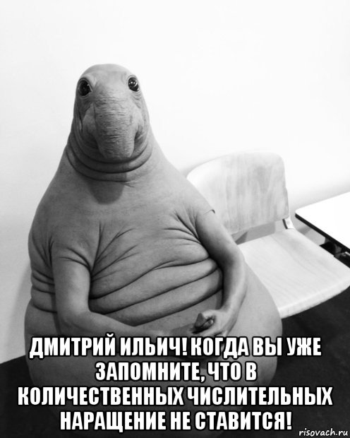  дмитрий ильич! когда вы уже запомните, что в количественных числительных наращение не ставится!, Мем  Ждун