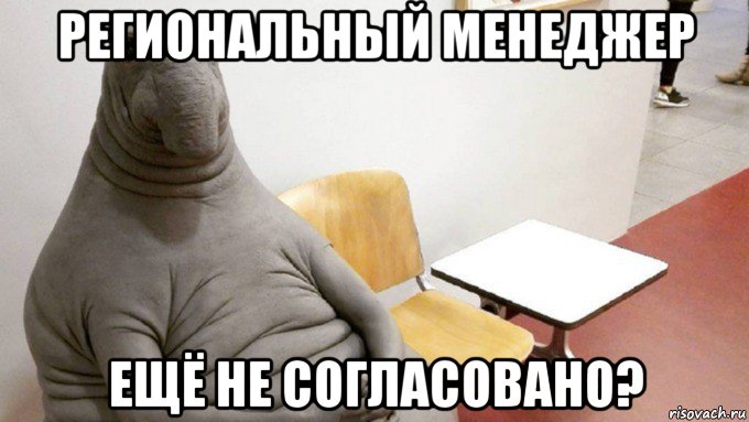 региональный менеджер ещё не согласовано?