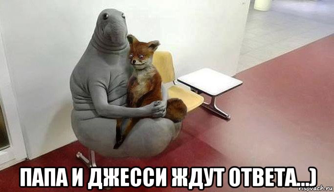  папа и джесси ждут ответа...)