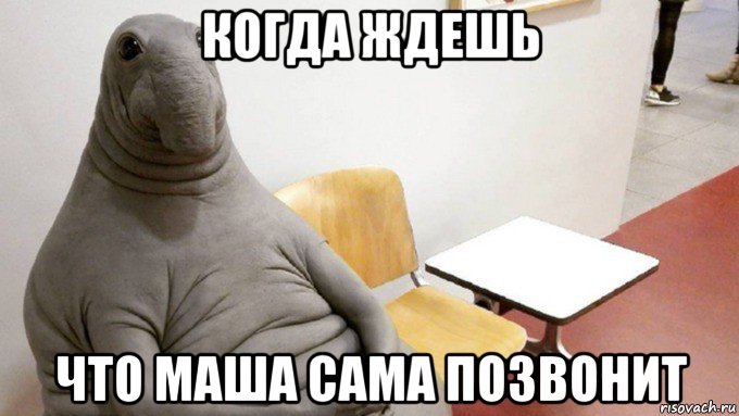 когда ждешь что маша сама позвонит