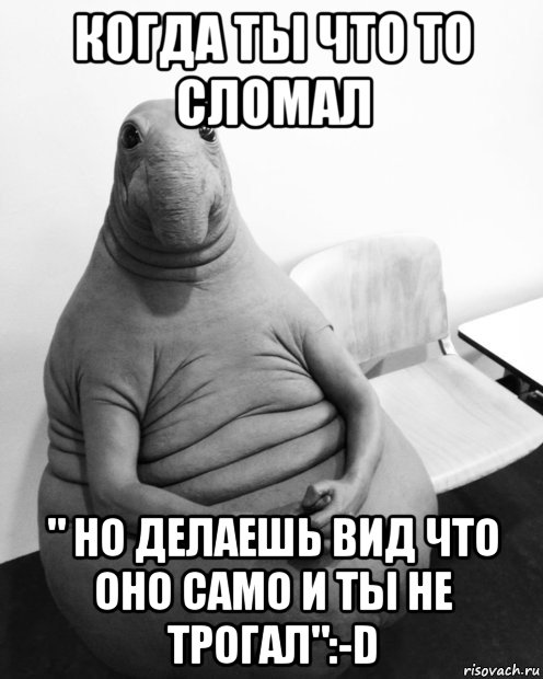 когда ты что то сломал " но делаешь вид что оно само и ты не трогал":-d, Мем  Ждун