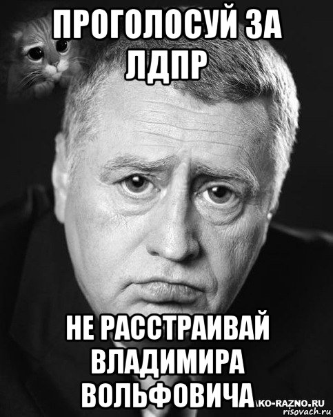 проголосуй за лдпр не расстраивай владимира вольфовича