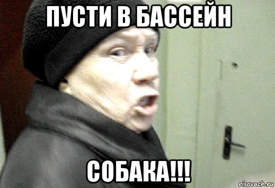 пусти в бассейн собака!!!, Мем злая бабка