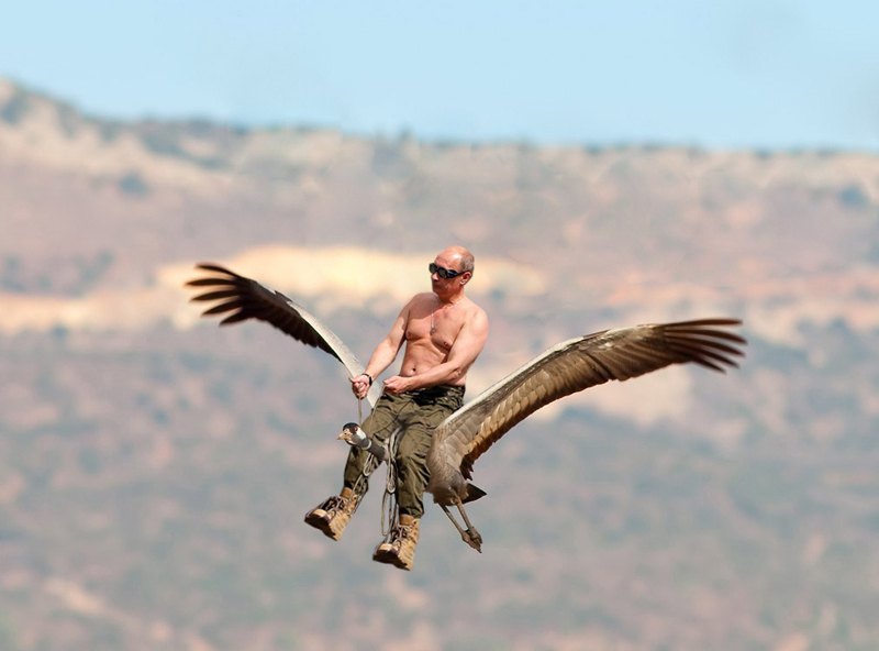 putin-na-sterhe_141308256_orig_.jpg