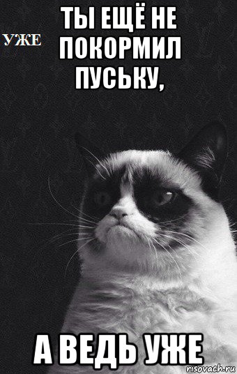 ты ещё не покормил пуську, а ведь уже, Мем А ты до сих пор ничего не сделал