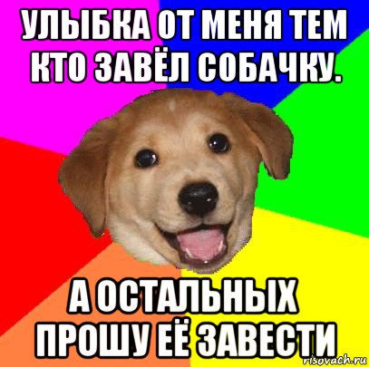 улыбка от меня тем кто завёл собачку. а остальных прошу её завести, Мем Advice Dog