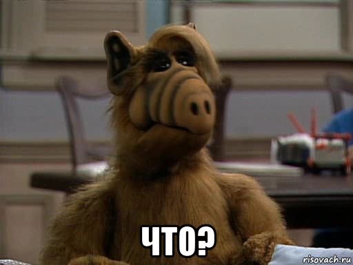  что?