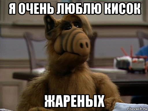 я очень люблю кисок жареных