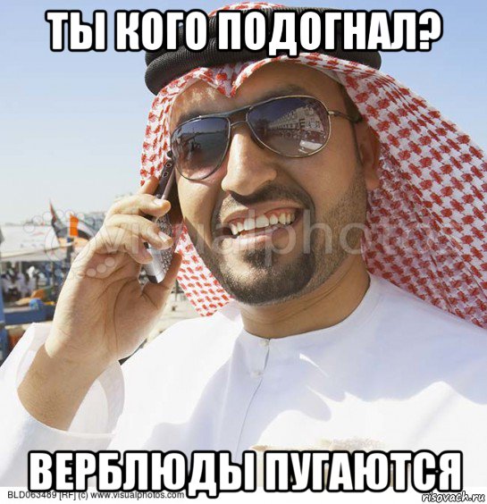 ты кого подогнал? верблюды пугаются, Мем Араб с телефоном