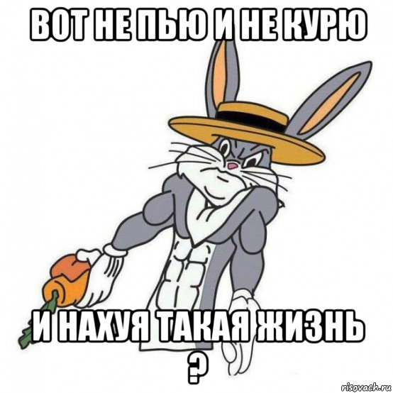 вот не пью и не курю и нахуя такая жизнь ?