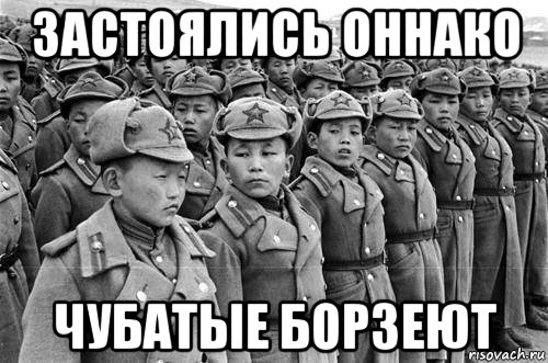 застоялись оннако чубатые борзеют