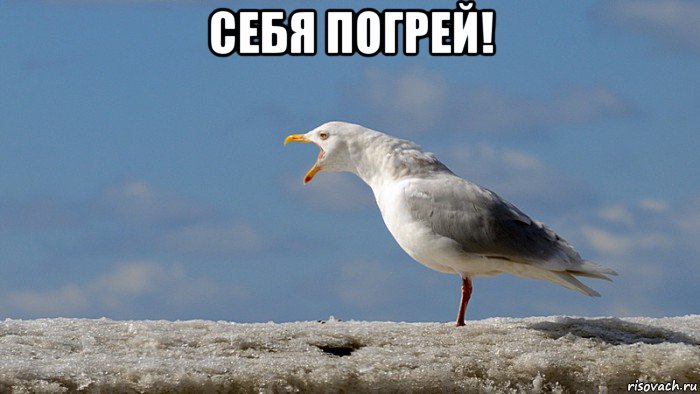себя погрей! 