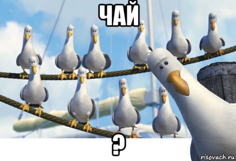 чай ?