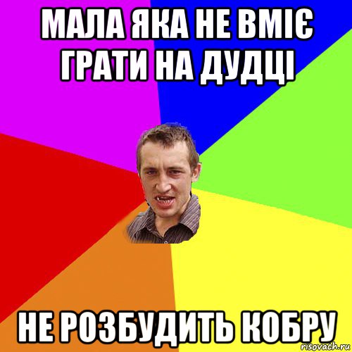 мала яка не вміє грати на дудці не розбудить кобру, Мем Чоткий паца