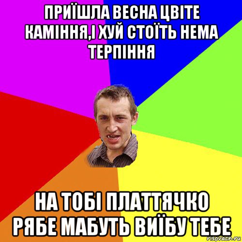 приїшла весна цвіте каміння,і хуй стоїть нема терпіння на тобі платтячко рябе мабуть виїбу тебе, Мем Чоткий паца